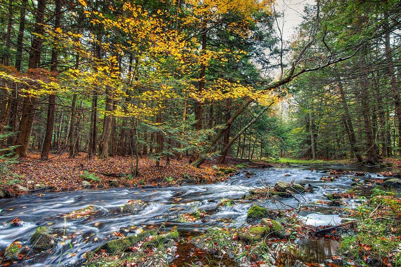 Scrap Metal Recycling in Sullivan County, NY